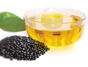 牡丹籽油設備 牡丹籽油榨油精煉生產(chǎn)線(圖1) 牡丹籽油設備 牡丹籽油榨油精煉生產(chǎn)線(圖1)