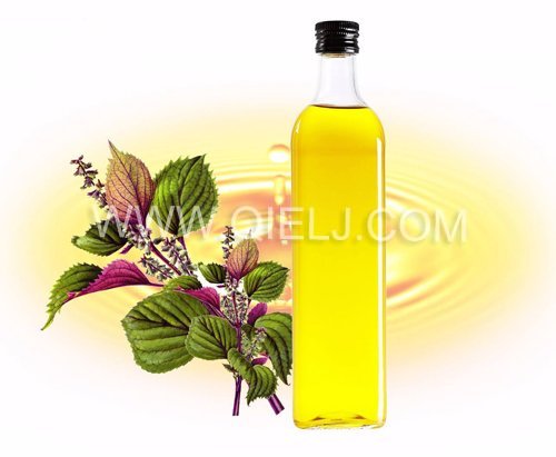 紫蘇油設(shè)備  制取紫蘇油成套設(shè)備(圖1) 紫蘇油設(shè)備  制取紫蘇油成套設(shè)備(圖1)