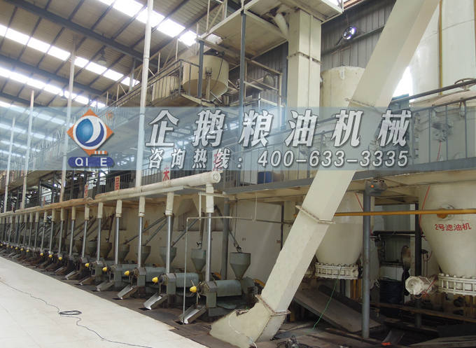 如何降低壓榨花生油中黃曲霉毒素含量？企鵝糧油機(jī)械為您提供可靠方法(圖3)