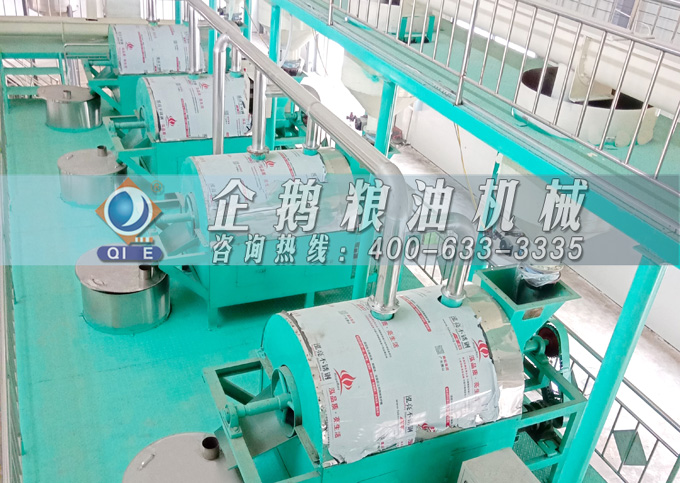 如何降低壓榨花生油中黃曲霉毒素含量？企鵝糧油機(jī)械為您提供可靠方法(圖4)
