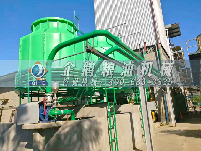 如何投資建設(shè)棕櫚油加工廠(chǎng)？企鵝糧油機(jī)械在線(xiàn)為您答疑解惑(圖3)